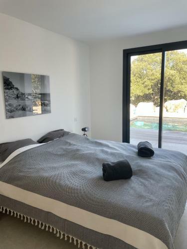 Villa Pura Vida