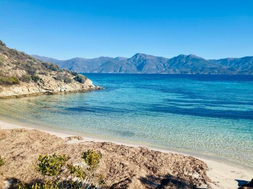 Apartamento Domaine A Mortella