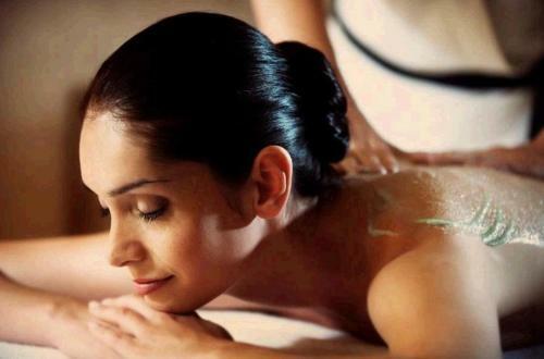 Le Verdoyant - Saint-jean-de-monts - Piscine Jacuzzi Sauna Hammam