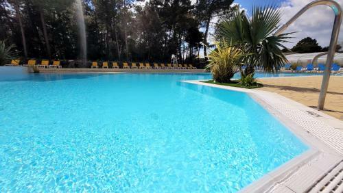 Le Verdoyant - Saint-jean-de-monts - Piscine Jacuzzi Sauna Hammam