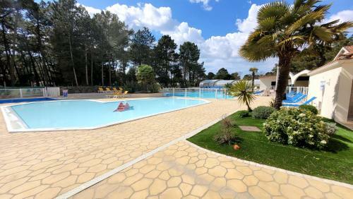 Le Verdoyant - Saint-jean-de-monts - Piscine Jacuzzi Sauna Hammam
