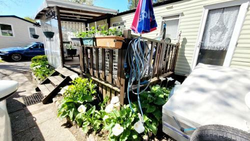 Le Verdoyant - Saint-jean-de-monts - Piscine Jacuzzi Sauna Hammam