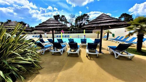 Le Verdoyant - Saint-jean-de-monts - Piscine Jacuzzi Sauna Hammam