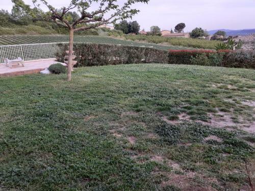 Apartamento Na�s Oph�lie
