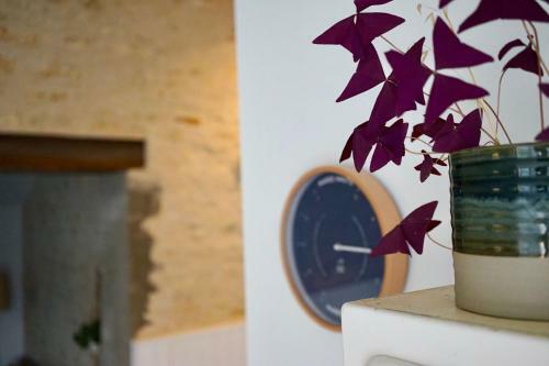 G�te De Caract�re � Moins De 10min Des Plages