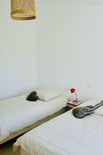 G�te De Caract�re � Moins De 10min Des Plages
