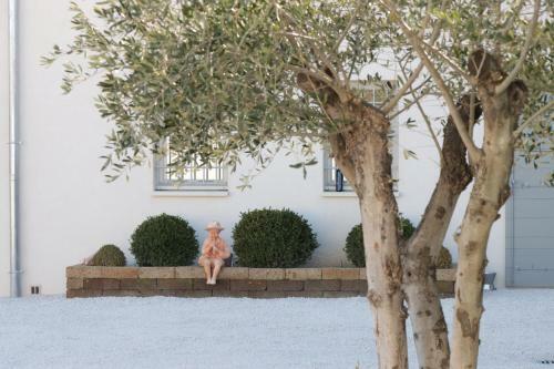Bed & Breakfast Le Mas Jos�phine