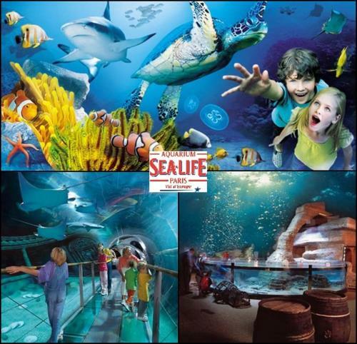 Hostal Le Prieur� De Saint Thibault