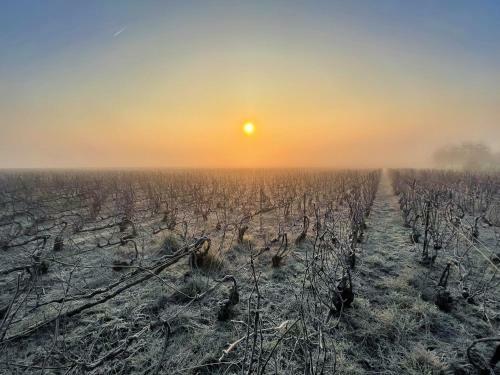 Apartamento Best View On The Champagne Vineyard