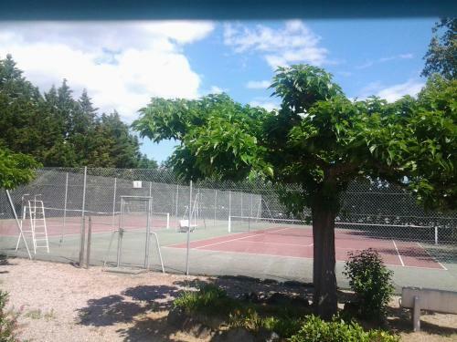 Apartamento Studio Cabine Climatise 4 � 5 Pers