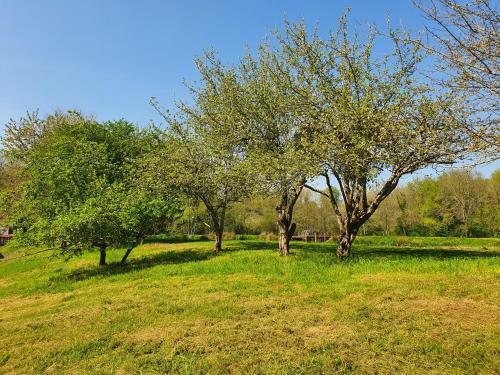 Moulin Du Pommier Glamping & Camping