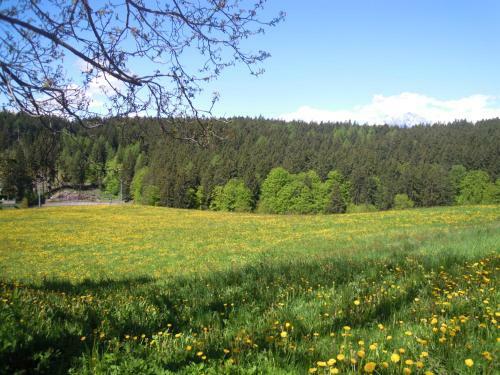 Agroturismo Innergruberhof