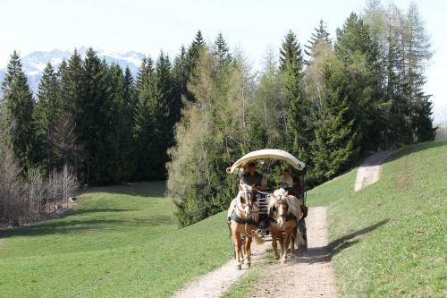 Agroturismo Innergruberhof