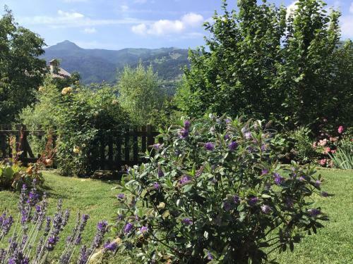 Apartamento Appartamenti Zeni