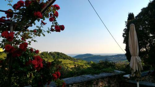 Bed & Breakfast Antica Corte Panego