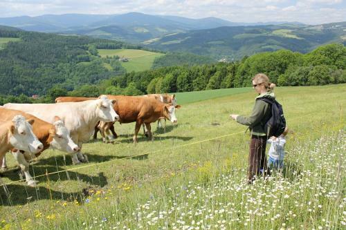 Agroturismo Wachahof