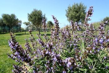 Apartamento Case Vacanze Mare Nostrum