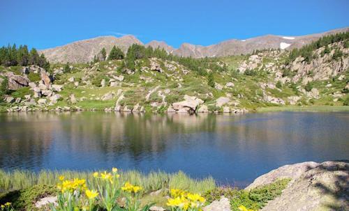 Villa, Jardin, Commodit�s; Mer; Montagne, Espagne