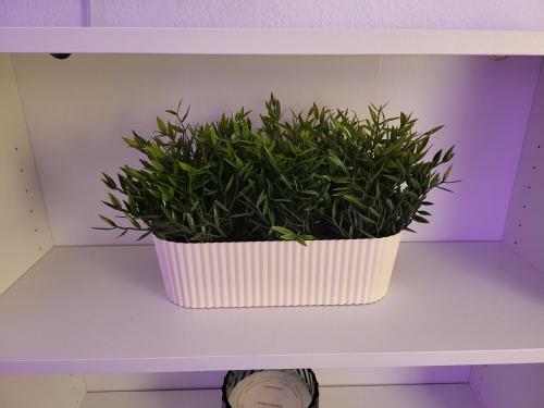 Apartamento Appartement Zen Et Calme, Centre Ville