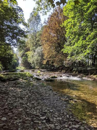 G�te Les Isles Entre Rivi�re Et Vignoble