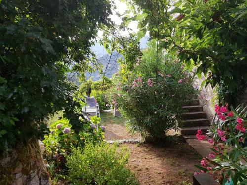 Apartamento Studio A Zicavo