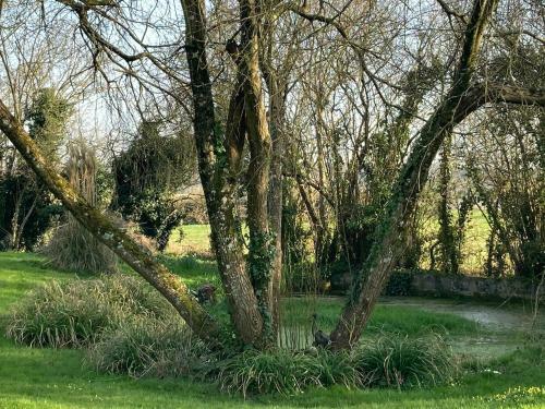 Hostal Maison D'h�tes La Doucelle