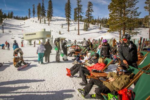 Summit 80