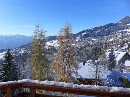 Apartment Le Bristol A32