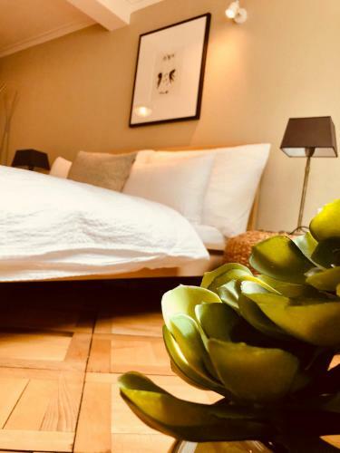 Apartamentos Top City Center Location By Airhome