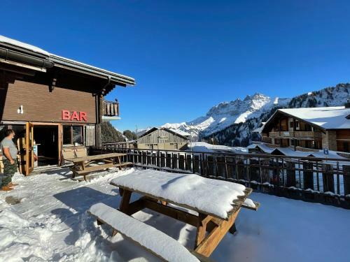 Freeride Hostel & Bar Lounge