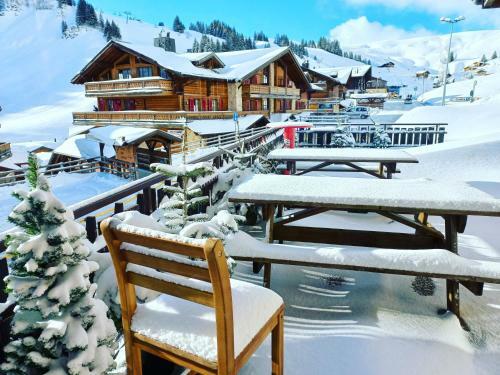 Freeride Hostel & Bar Lounge