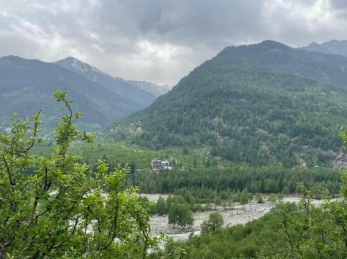 Blue Bird Manali Homestay