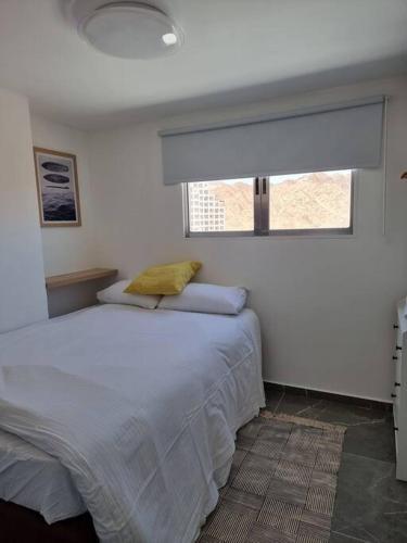 Apartamento ???? ?? ??? ????? 1105
