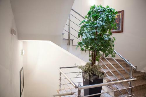 Bed & Breakfast Villa Mali Raj