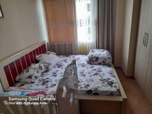 Apartamento Emily House