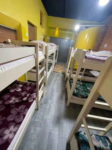 New Hostel Tirana