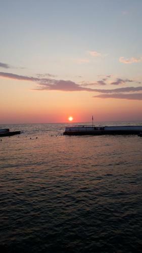 Nature Escape Cottage, Peloponnese