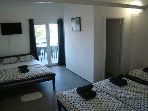 Apartmani Biba, Vir