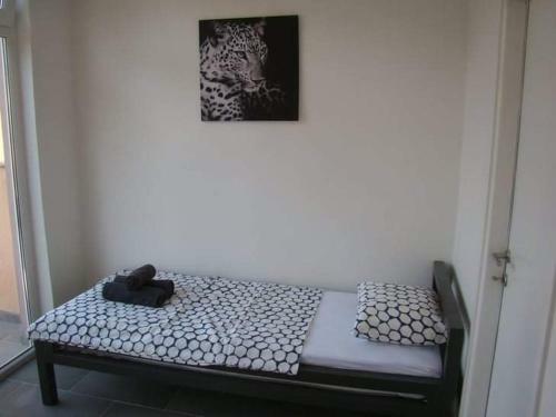 Apartmani Biba, Vir