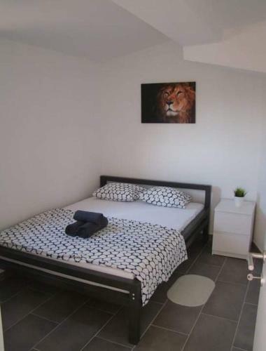 Apartmani Biba, Vir