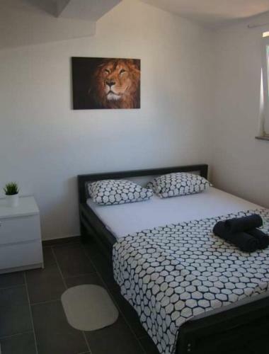 Apartmani Biba, Vir