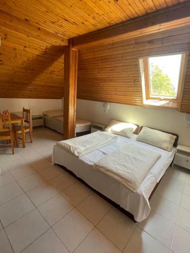 Hostal Lelle Centrum Vend�gh�z