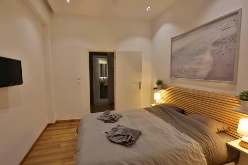 Luxury Apartment Near Acropolis