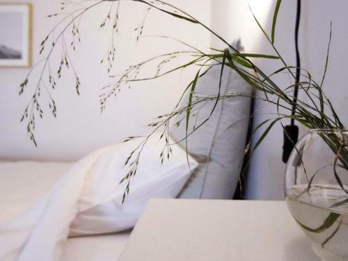 Apartamento The Cucuwow