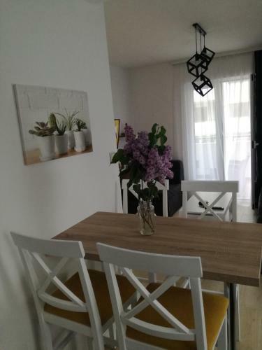 Verde Apartment