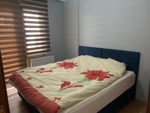 �zcan Apart