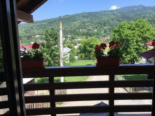 Hostal Pensiunea Joreanu