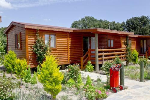Cozy Tiny House With Shared Pool And Balcony In Bodrum