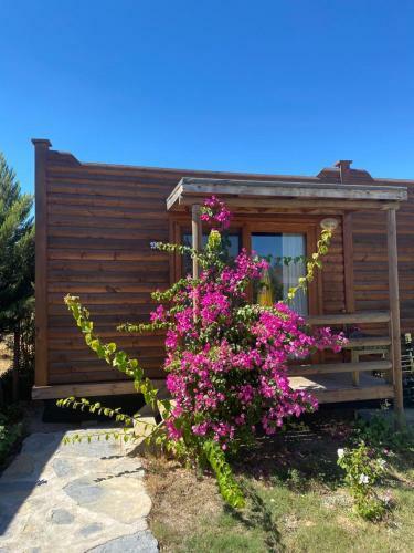 Cozy Tiny House With Shared Pool And Balcony In Bodrum