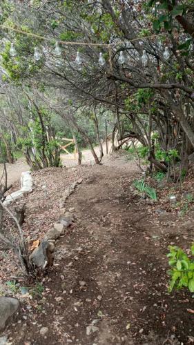 El Cerro
